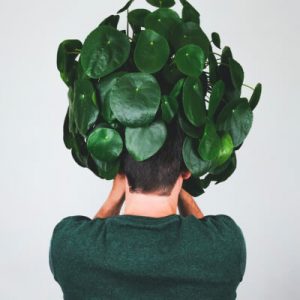 Plants Store Gallery Img 3 300x300 1